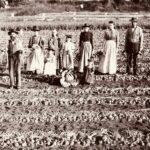 Grandkids and Family History by Family Tree Video